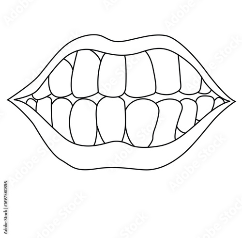 Science of hand drawn vector teeth outline.