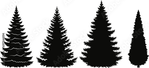 Four distinct evergreen tree silhouettes in black and white, showcasing varied shapes and sizes.