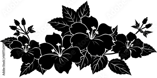 Floral Vector Hibiscus Blooms