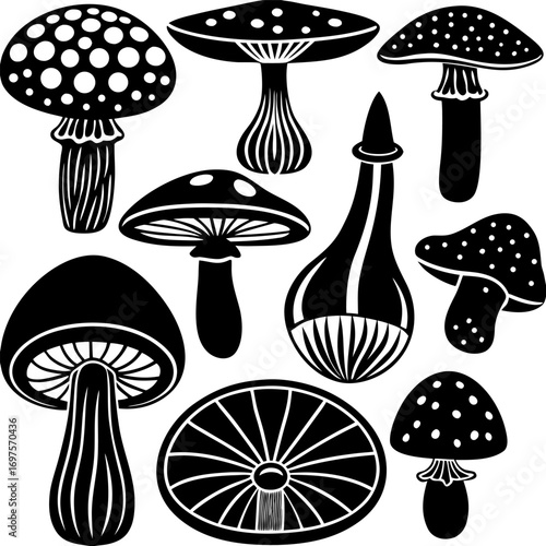 Mushrooms Illustration Vector Set