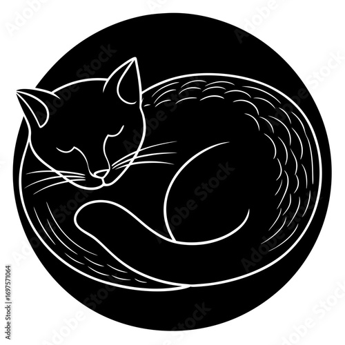 vector illustration of a cat