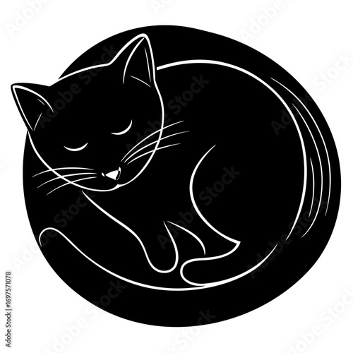 vector illustration of a cat