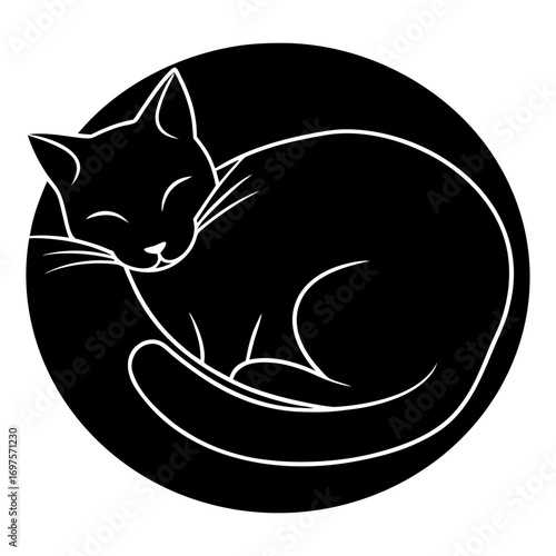 vector illustration of a cat