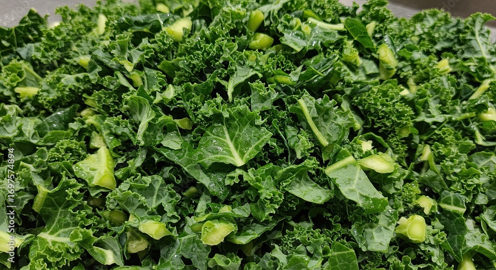 Fototapeta premium Fresh Green Kale Pile Chopped for Salad or Cooking Preparation