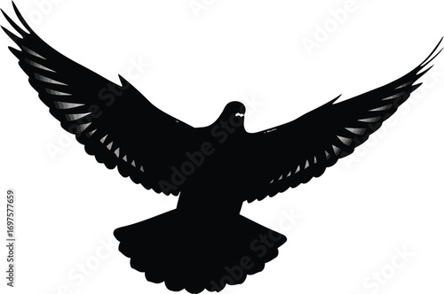 eagle silhouette vector