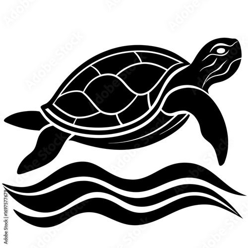 vector illustration of turtle