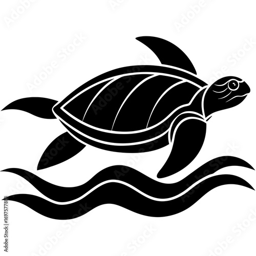 vector illustration of turtle