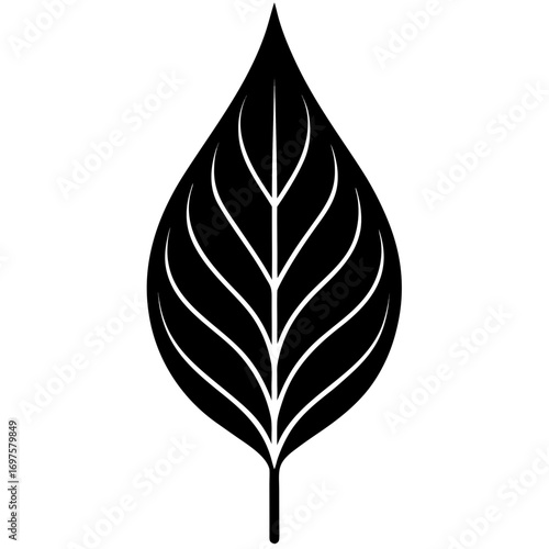 Detailed Leaf Silhouette Vector Illustration