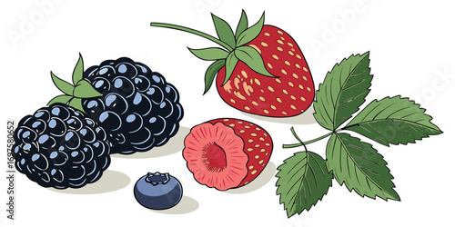 A high-resolution image of assorted fresh berries and green leaves arranged on a white background. The berries include blackberries, raspberries, blueberries, and strawberries, all appearing plump and