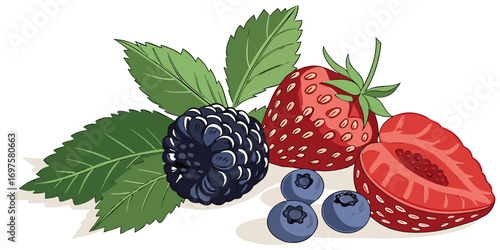 A high-resolution image of assorted fresh berries and green leaves arranged on a white background. The berries include blackberries, raspberries, blueberries, and strawberries, all appearing plump and