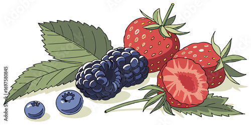 A high-resolution image of assorted fresh berries and green leaves arranged on a white background. The berries include blackberries, raspberries, blueberries, and strawberries, all appearing plump and