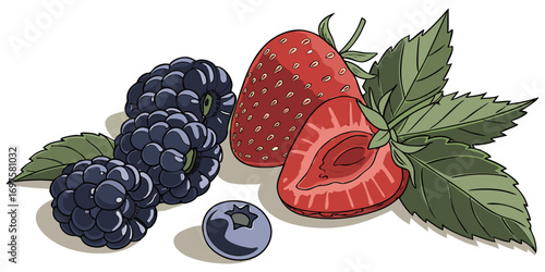 A high-resolution image of assorted fresh berries and green leaves arranged on a white background. The berries include blackberries, raspberries, blueberries, and strawberries, all appearing plump and