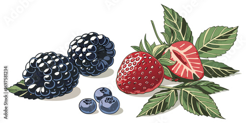 A high-resolution image of assorted fresh berries and green leaves arranged on a white background. The berries include blackberries, raspberries, blueberries, and strawberries, all appearing plump and