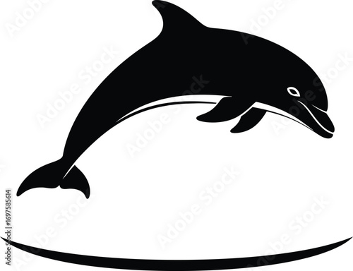 dolphin silhouette isolated on white