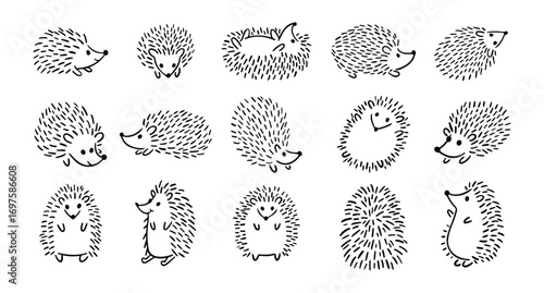 Doodle hand drawn cute hedgehog set. Hand drawn adorable hedgehog collection. Outline drawing for children.