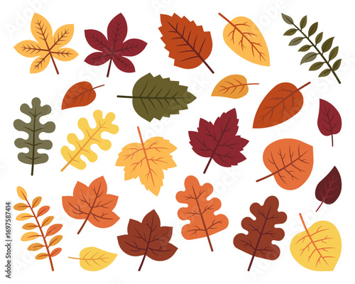 Flat autumn leaves clipart set in warm fall tones. Perfect for seasonal designs, invitations, posters, and digital crafts.