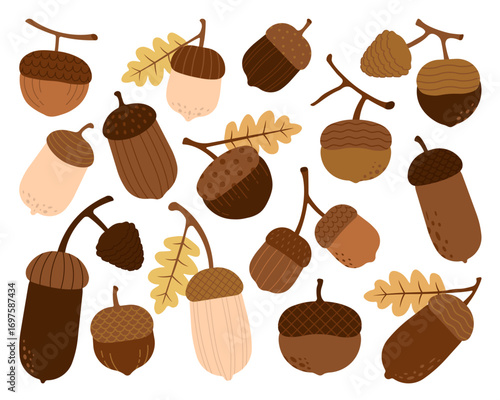 Flat autumn acorn and chestnut clipart set in brown tones. Ideal for fall crafts, seasonal prints, posters, and digital artwork.