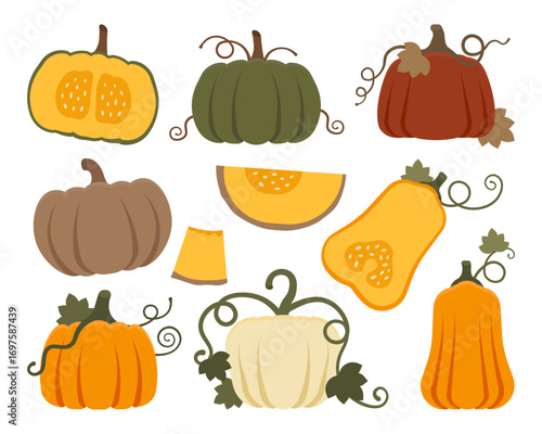 Flat autumn pumpkin clipart set with vines and leaves in fall colors. Perfect for Thanksgiving, posters, seasonal crafts, and digital artwork.