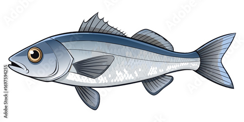 A high-resolution, photorealistic image of a whole European sea bass (Dicentrarchus labrax) isolated on a clean white background. The fish has silvery, metallic scales with a slightly darker bluish-gr