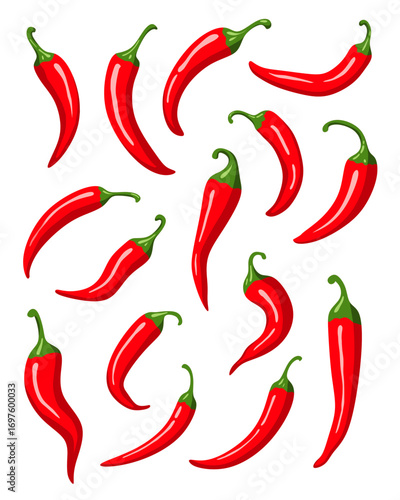 Red Chili Peppers Vector Illustration Isolated on White Background