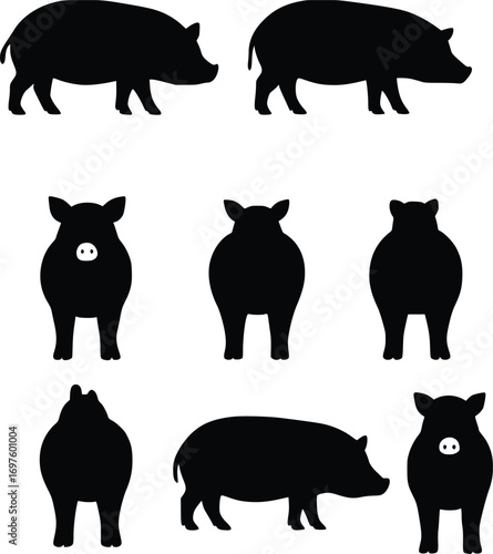 vector illustration of pig silhouette from various angles