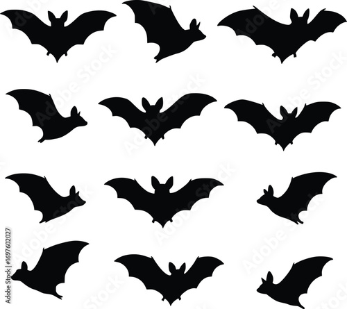 vector illustration of bat silhouette from various angles