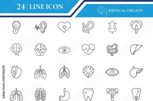 Medical Organs Line Icon Vector