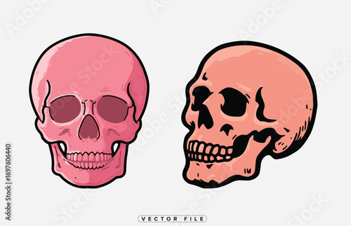 skull illustration comparing pink and peach colors side by side