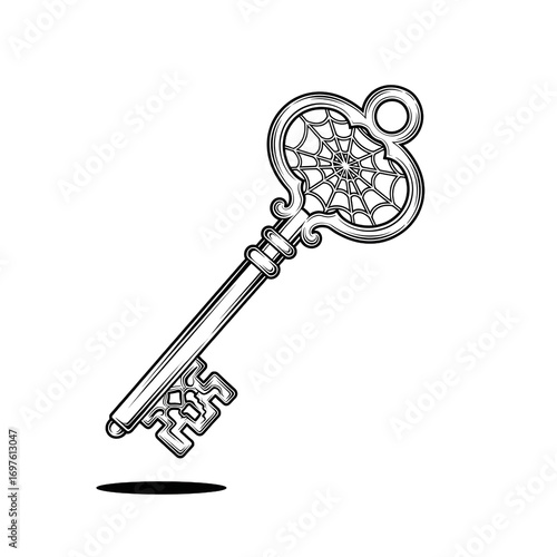 Intricate Spiderweb Skeleton Key Illustration - A Symbol of Mystery, Secrets, and Hidden Worlds