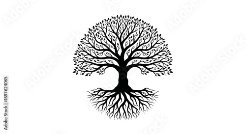 Black intricate tree silhouette on white background representing growth and connectivity