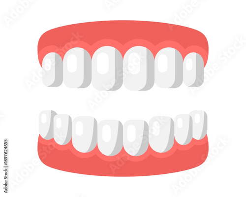 A clean set of human teeth with pink gums, a flat vector icon for dentistry concepts, oral hygiene, and dental care isolated on a white background