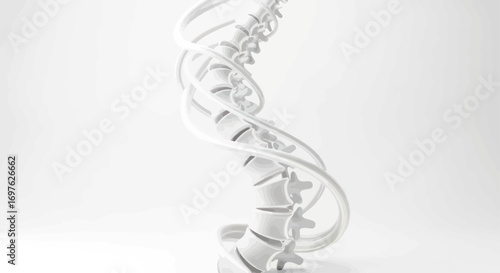 Human Spine Anatomical Model Depicting Vertebral Column with Supporting Ligaments on White Backdrop