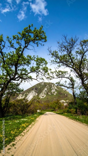 A scenic dirt road through a forest leading to a hill