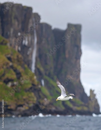 A seabird soars over dramatic cliffs