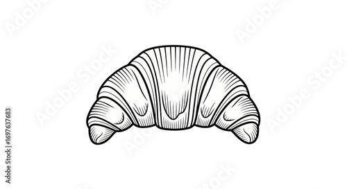 Minimalist croissant illustration with detailed line work on a plain background