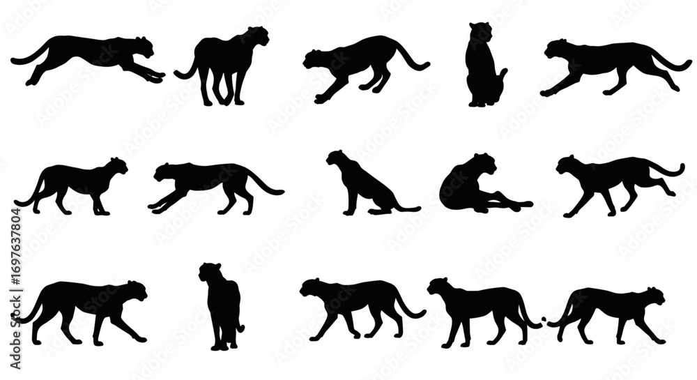 Obraz premium Cheetah Set Silhouette Vector Illustration , Animal Wildlife Silhouette Vector