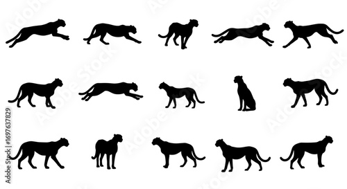 Cheetah Set Silhouette Vector Illustration , Animal Wildlife Silhouette Vector