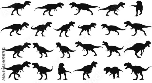 T Rex Set Silhouette Vector Illustration , Dinosaur Silhouette Vector