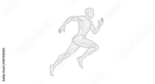Stylized runner artwork showcasing agility strength and anatomical details in motion on a pristine