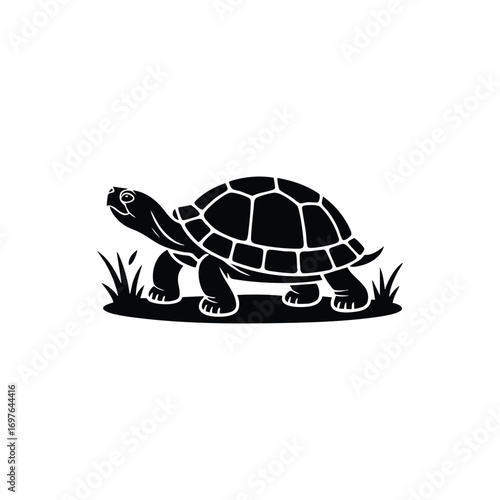 Clean white background for design simplicity and versatility perfect for minimalists and modern aesthetics