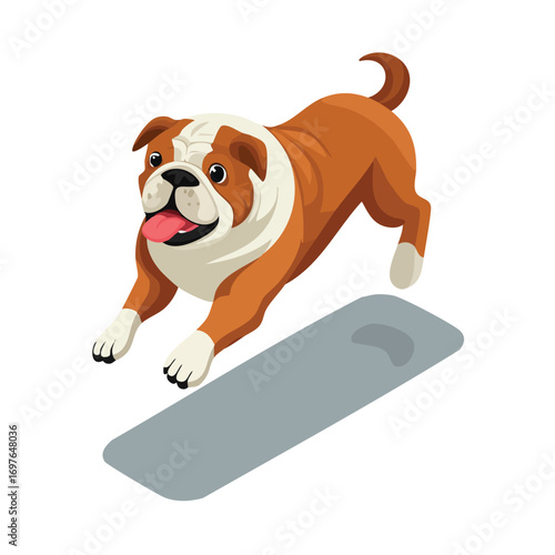 Bulldog jump isometric vector illustration with clean geometry and modern design
