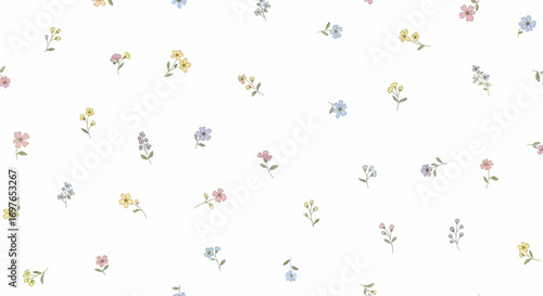 Delicate Floral Pattern Featuring Pastel Colored Wildflowers On White Background