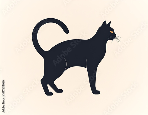black cat with white background