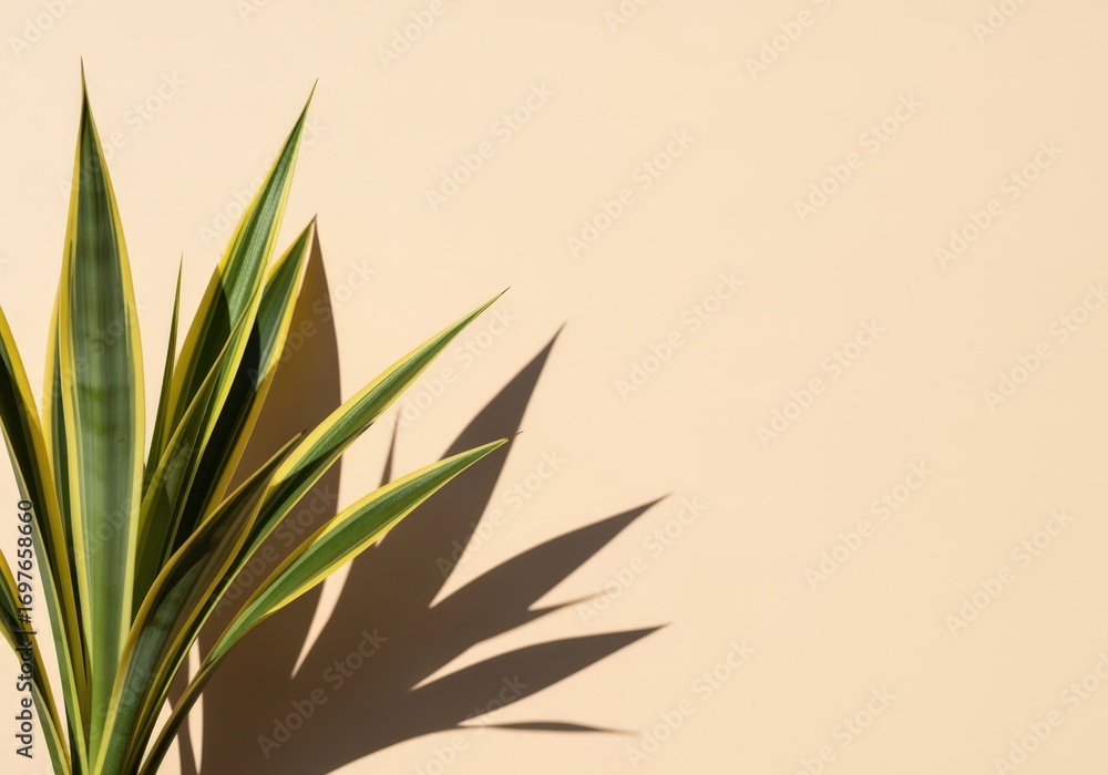 Fototapeta premium Sunlit plant leaves casting shadows on minimalist wall.
