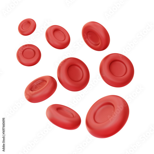 Red Blood Cell 