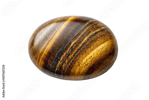 Polished oval tiger's eye gemstone (1)