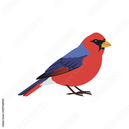 Colorful cardinal bird illustration with red and blue plumage – stock vector flat illustration