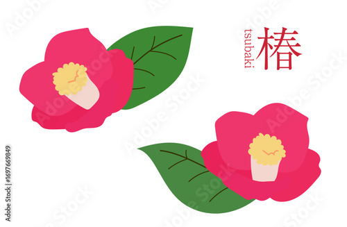 椿、イラスト、カラー、カメリア、ツバキ