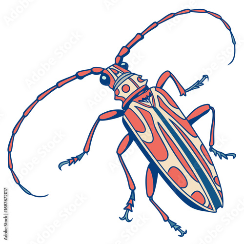Harlequin beetle vector illustration