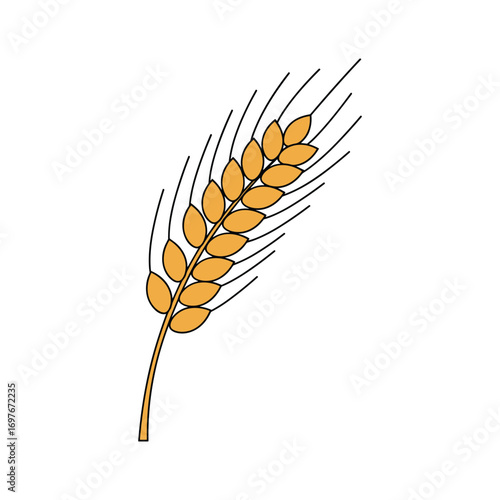 Golden wheat ear illustration – stock vector flat illustration